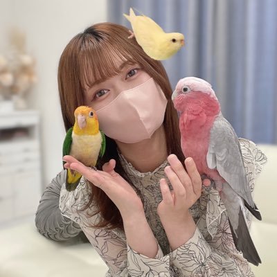 ââ ð
«ã€ã³ã³ãšæ®ããããã ð
«ð
« ââ's profile picture