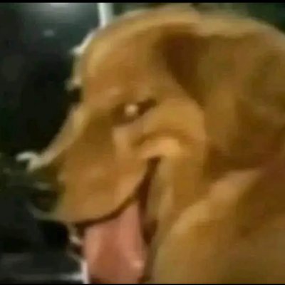 Vilmadcdj's profile picture