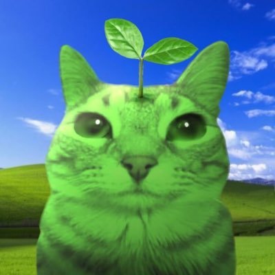 𝓰's profile picture
