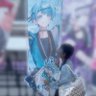 あんみかん🎲 的头像