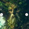 Druid 17 profil fotoğrafı