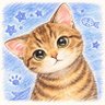 コー☕️🐈🛁 profil fotoğrafı