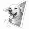 TANU's profile picture