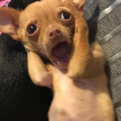 Baba's profile picture