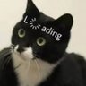 Profilbild von Sionsoothe