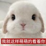 Profilbild von 马嘉炮的祺友