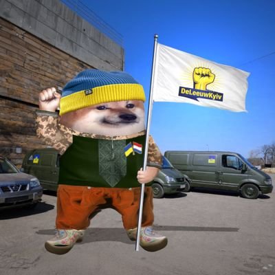De Leeuw Kyiv 🇺🇦🇳🇱's profile picture