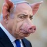 فلسطين 🇴🇲🇵🇸 profil fotoğrafı