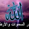 Profilbild von Abu_Aboudi