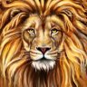 Arslanbey's profile picture