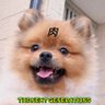 へーはちMarkII's profile picture