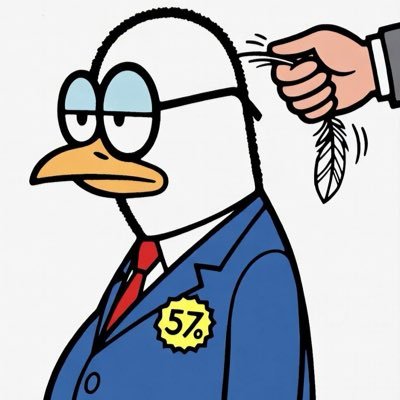 Dindon Fiscal's profile picture