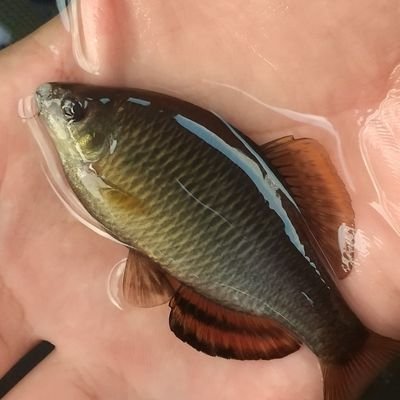 kamata4510471's profile picture