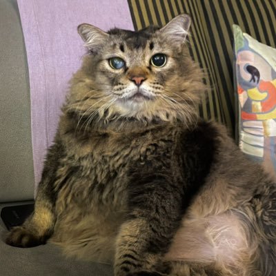 itsybitsymin's profile picture