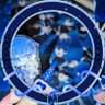 みつき🦥💙's profile picture