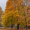 Фото профиля Atilla