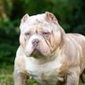 Ruffin_It's profile picture