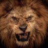 SVRAO's profile picture