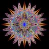 Justis Bimberlake's profile picture