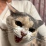 Фото профиля おみるこ