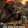 Rasta monkey profil fotoğrafı