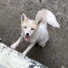 りょ profil fotoğrafı