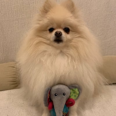 ChuunChuuun's profile picture