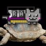 CatOnTurtle 的头像