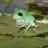 Street_Rat's profile picture