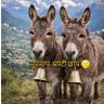Bikram Poudel's profile picture