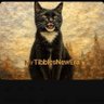MrTibblesNewEra's profile picture