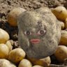 Profilbild von 黒田 樹