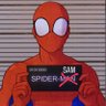 Profilbild von spiderSAM