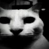 Buttaman's profile picture
