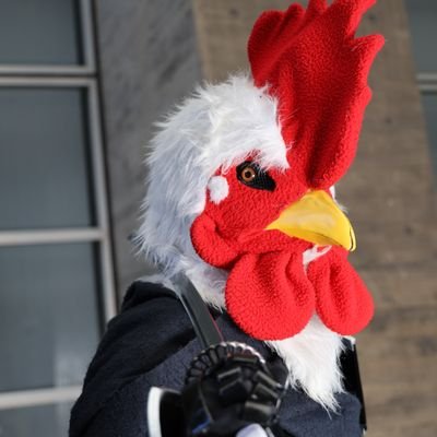 chiiicken__'s profile picture