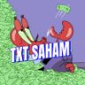 Profilbild von Txt dari Saham