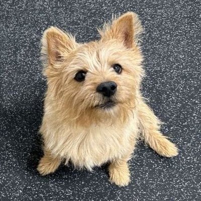 CHIAO's profile picture