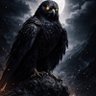 𝕯𝖆𝖗𝖐 𝕱𝖆𝖑𝖈𝖔𝖓 🦅 的头像