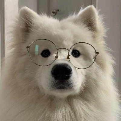 _bonitayou's profile picture