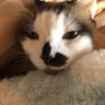Profilbild von なる