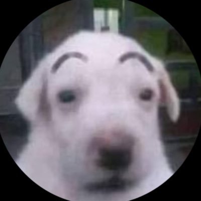 duingu's profile picture