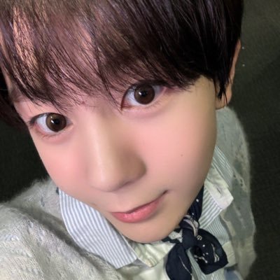 료 아카이브's profile picture
