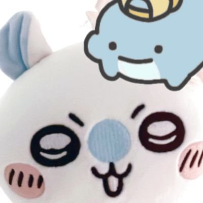 공고's profile picture