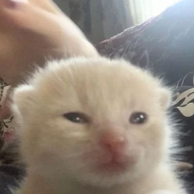 천's profile picture