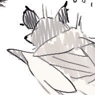 YON2_42_'s profile picture