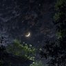 سارة's profile picture