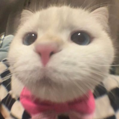 roa_s23's profile picture