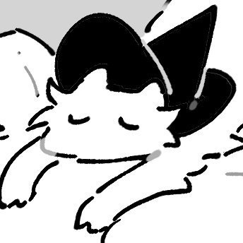 catallarii 🐦⬛ | 둥-2b's profile picture