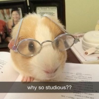 justkyosoo's profile picture
