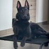 Soo profil fotoğrafı